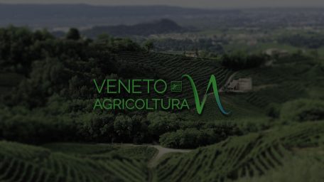CONCESSIONE DI BENI 04/2023