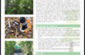 Progetto RedAFI – Aree Forestali di infiltrazione e riduzione di azoto da digestati