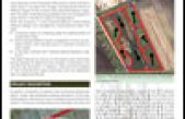 FATA Project – Phytoremediation of water to remove nitrogen – FINAL REPORT