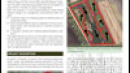 FATA Project – Phytoremediation of water to remove nitrogen – FINAL REPORT