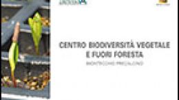 Il lavoro del Centro Biodiversità vegetale e Fuori Foresta di Montecchio Precalcino: rassegna delle attività e delle azioni per la biodiversità e per il fuori foresta