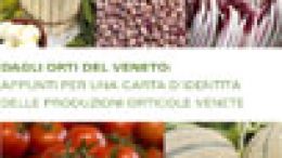 Dagli orti del Veneto: appunti per una carta d’identità delle produzioni orrticole venete