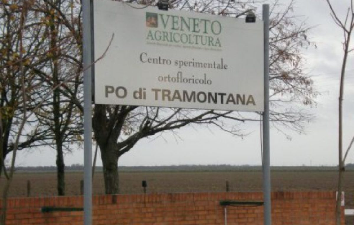 15 giugno 2017 – Visita guidata alle prove varietali orticole e floricole – Centro Sperimentale  “Po di Tramontana” – Rosolina (RO)