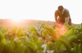 Rapporto 2016 sulla congiuntura del settore agroalimentare veneto