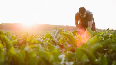 Rapporto 2016 sulla congiuntura del settore agroalimentare veneto