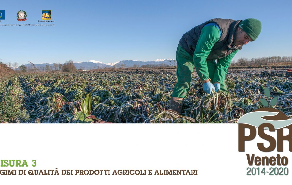 STAGIONI E TRAGUARDI DEL PSR VENETO. RISULTATI, ATTUAZIONE E PROSPETTIVE