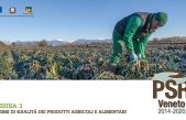 STAGIONI E TRAGUARDI DEL PSR VENETO. RISULTATI, ATTUAZIONE E PROSPETTIVE