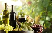 Nel 2016 fatturato record per l’export di vino veneto