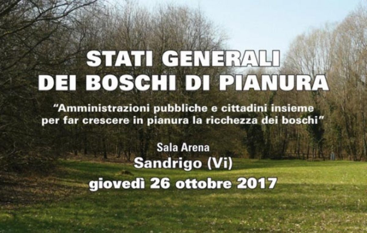 BOSCHI DI PIANURA, STATI GENERALI IL 26 OTTOBRE