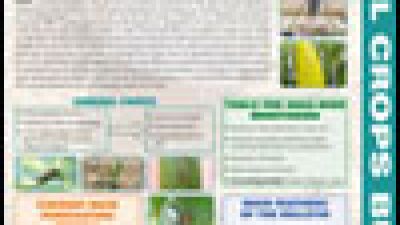 Annual crops Bulletin