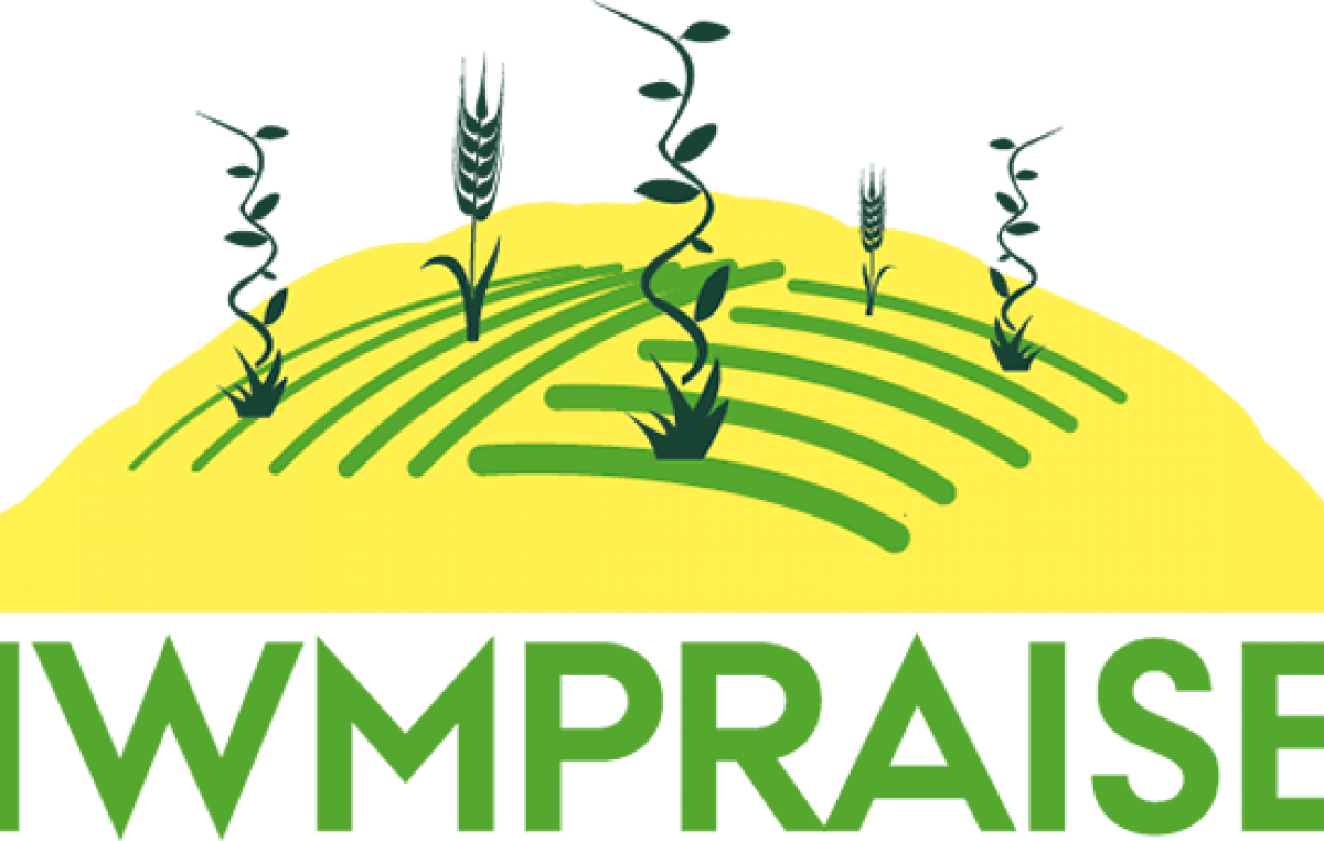 IWMPRAISE