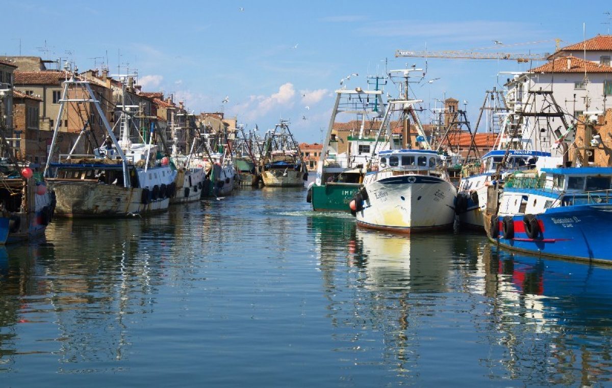 PESCA, IN CHIAROSCURO IL COMPARTO ITTICO VENETO