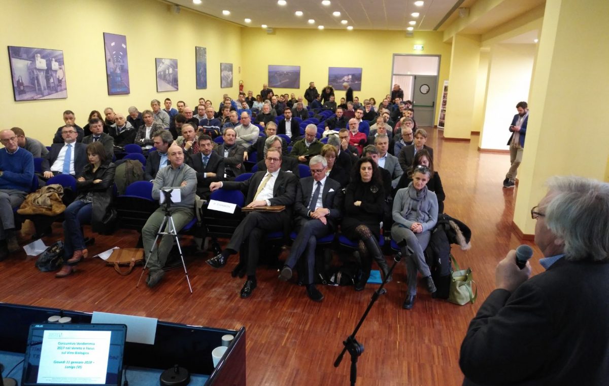 VINO, VOLA L’EXPORT VENETO CON LA NOVITÀ BIOLOGICO