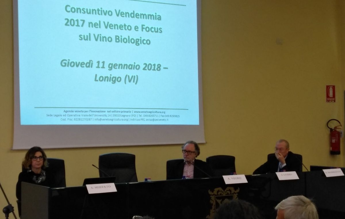 Online le slide della terza tappa del Trittico Vitivinicolo