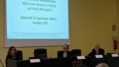 Online le slide della terza tappa del Trittico Vitivinicolo