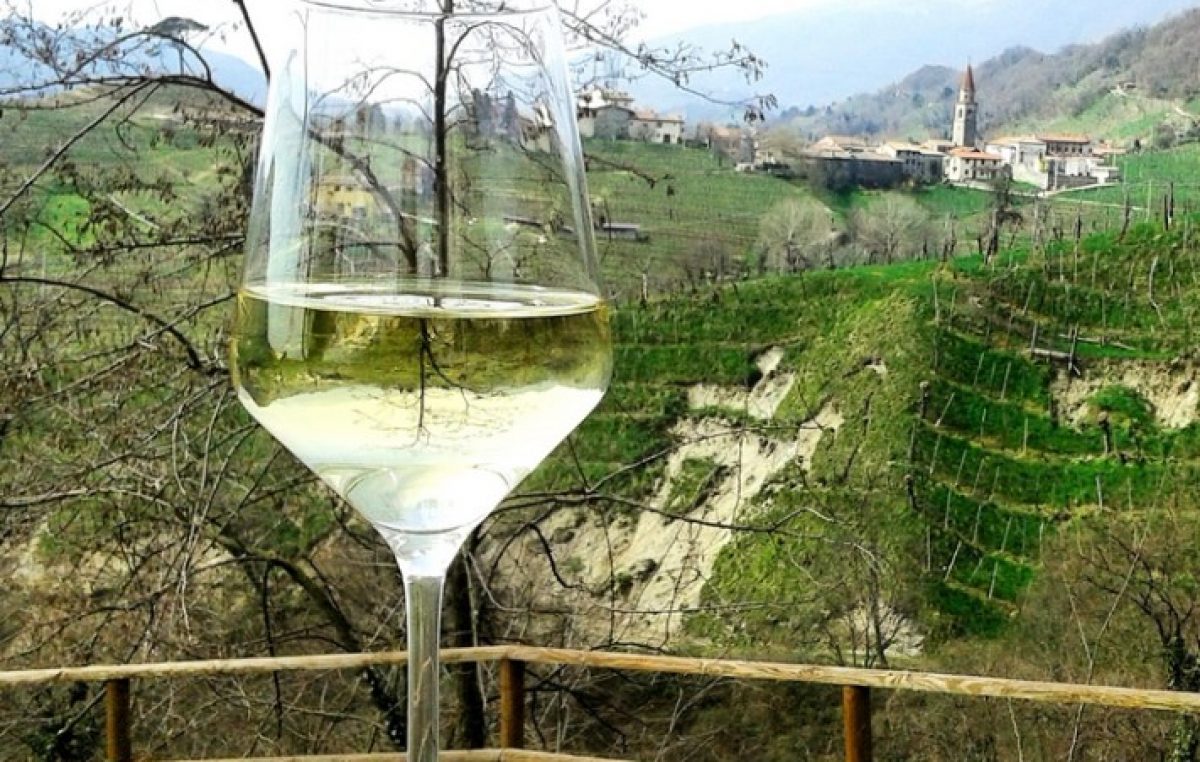 VINO VENETO: DOMANI TUTTI I NUMERI DEL COMPARTO A LONIGO-VI (ORE 9:30)