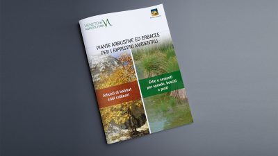 Piante arbustive ed erbacee per i ripristini ambientali