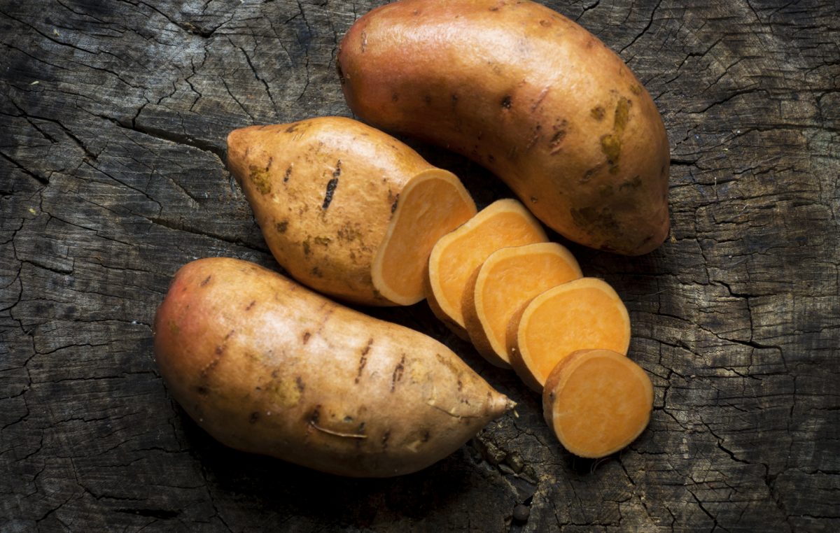 PATATA AMERICANA, VENETO PRIMO PRODUTTORE