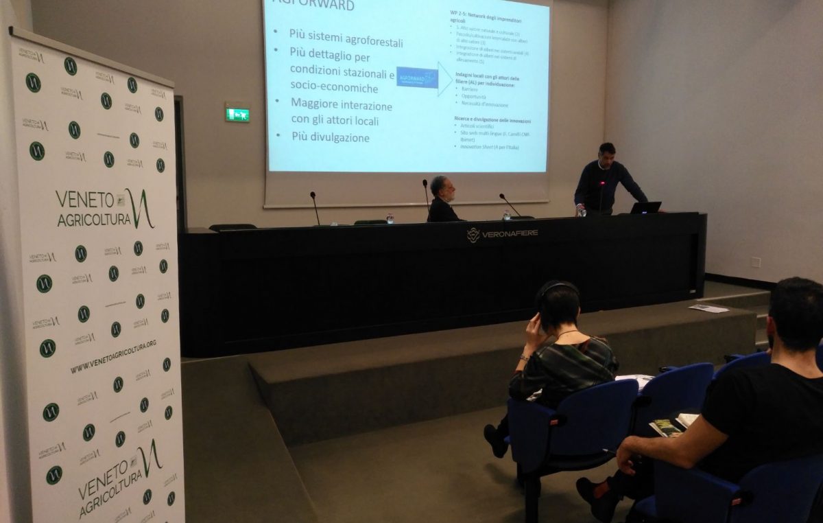FIERAGRICOLA, AGROFORESTAZIONE, UN “SALVAGENTE” PER L’AMBIENTE E L’ECONOMIA RURALE