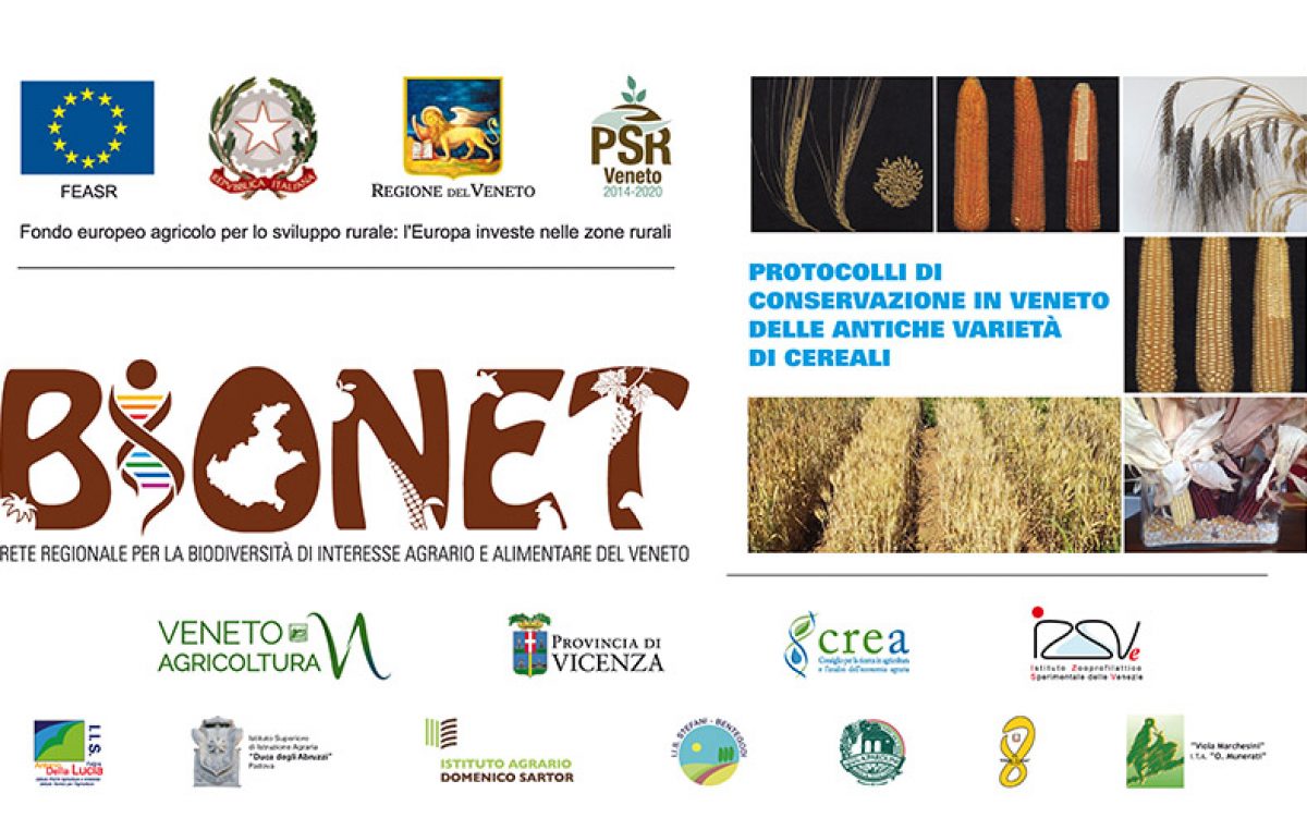 Indagine storica, primi risultati di BIONET, LA BIODIVERSIÀ AGRARIA NEL VENETO