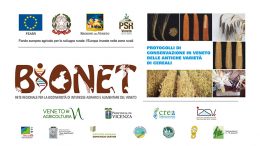 Protocolli di conservazione in Veneto delle antiche varietà di cereali