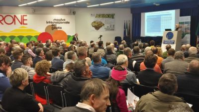 FORESTE VENETE: UN PATRIMONIO DA “FAR FRUTTARE”