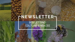 Azienda aperta – protocolli aperti: pubblicazioni 2012