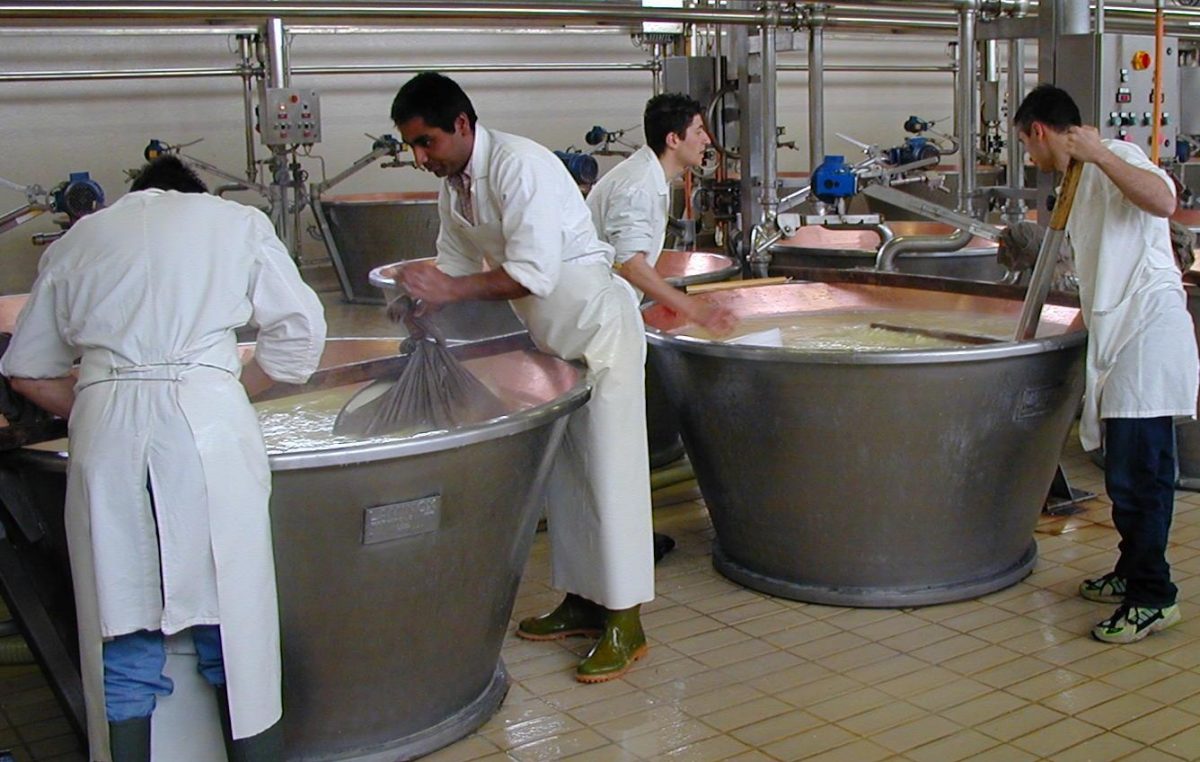 Formaggi DOP veneti: i caseifici diversificano la produzione
