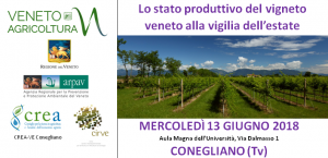 Primo appuntamento trittico vitivinicolo 2018 - 13 giugno - Conegliano