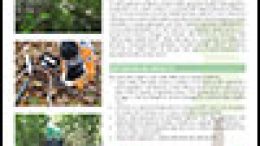 Progetto RedAFI – Forested Infiltration Areas project (final results)