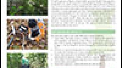 Progetto RedAFI – Forested Infiltration Areas project (final results)