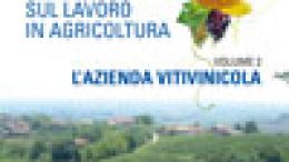La gestione della sicurezza sul lavoro in agricoltura – Vol.2: L’azienda vitivinicola