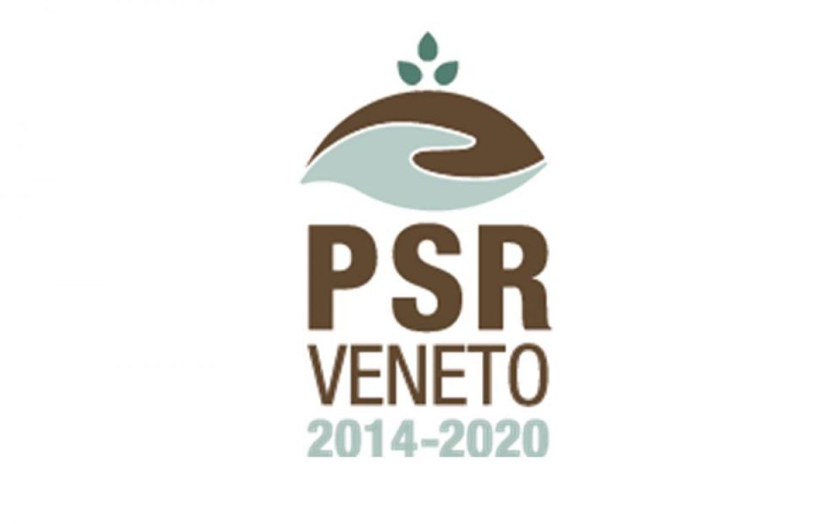 PSR, nuovi bandi per oltre 90 mio/€