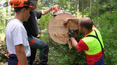 Corso di formazione per ISTRUTTORE FORESTALE – Domanda di ammissione