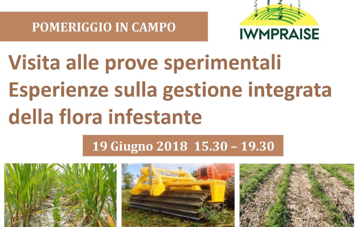 Pomeriggio in campo sulla gestione integrata delle infestanti