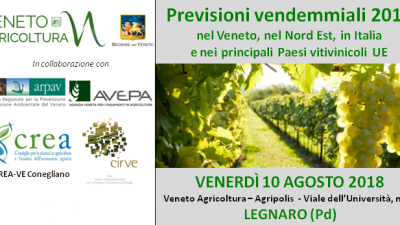 Previsioni vendemmiali 2018