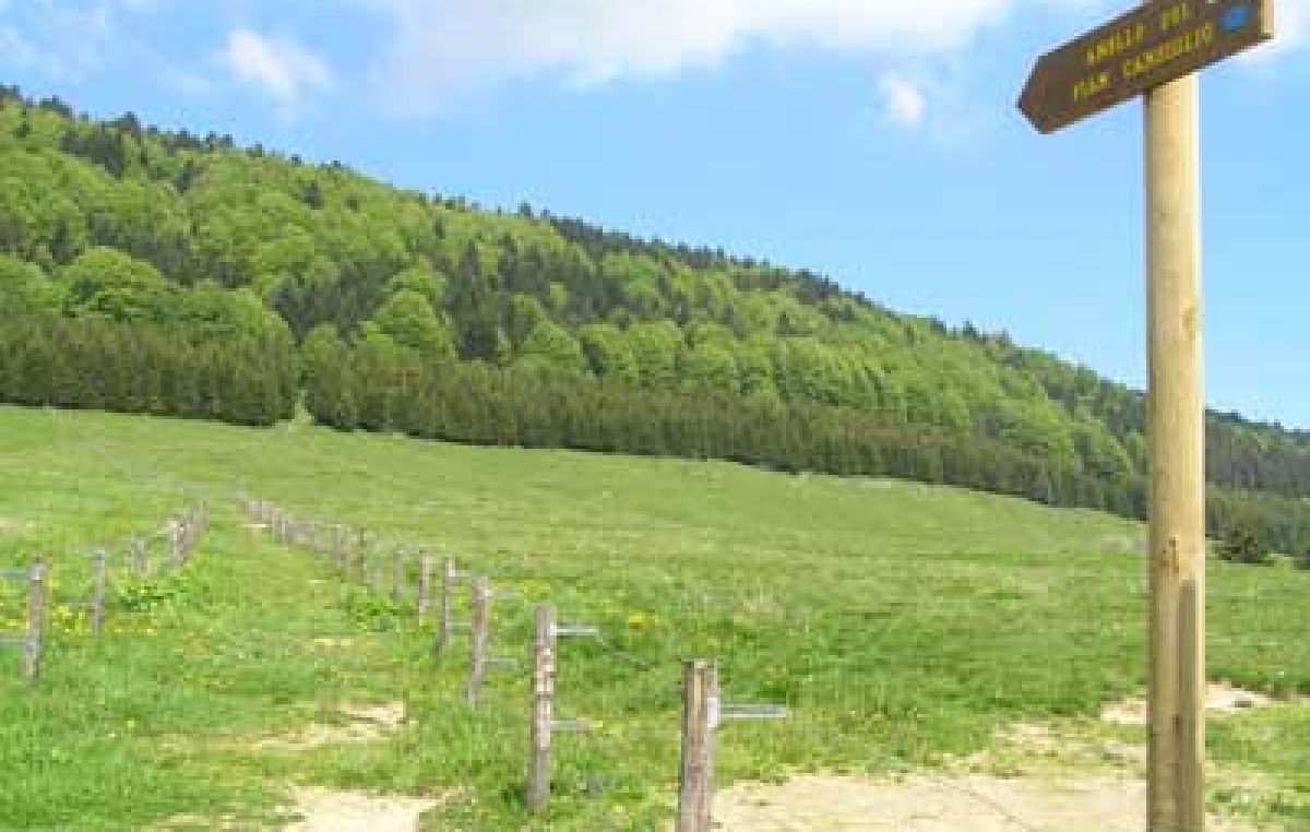 VOGLIA DI NATURA? VIENI IN CANSIGLIO
