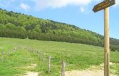 VOGLIA DI NATURA? VIENI IN CANSIGLIO