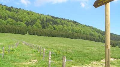 VOGLIA DI NATURA? VIENI IN CANSIGLIO