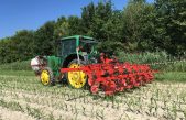AGROALIMENTARE VENETO IN ALTALENA, MA VALE 6,3 MILIARDI DI EURO (+7,5%)