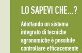 Le inspiration sheets di IWMPRAISE