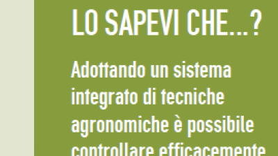 Le inspiration sheets di IWMPRAISE