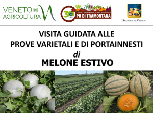Prove melone 2018