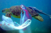 PLASTICA MONOUSO: NUOVE NORME UE PER RIDURRE I RIFIUTI MARINI