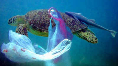 PLASTICA MONOUSO: NUOVE NORME UE PER RIDURRE I RIFIUTI MARINI