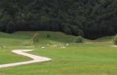 CANSIGLIO: GLI IMPERDIBILI EVENTI DELL’ESTATE IN FORESTA