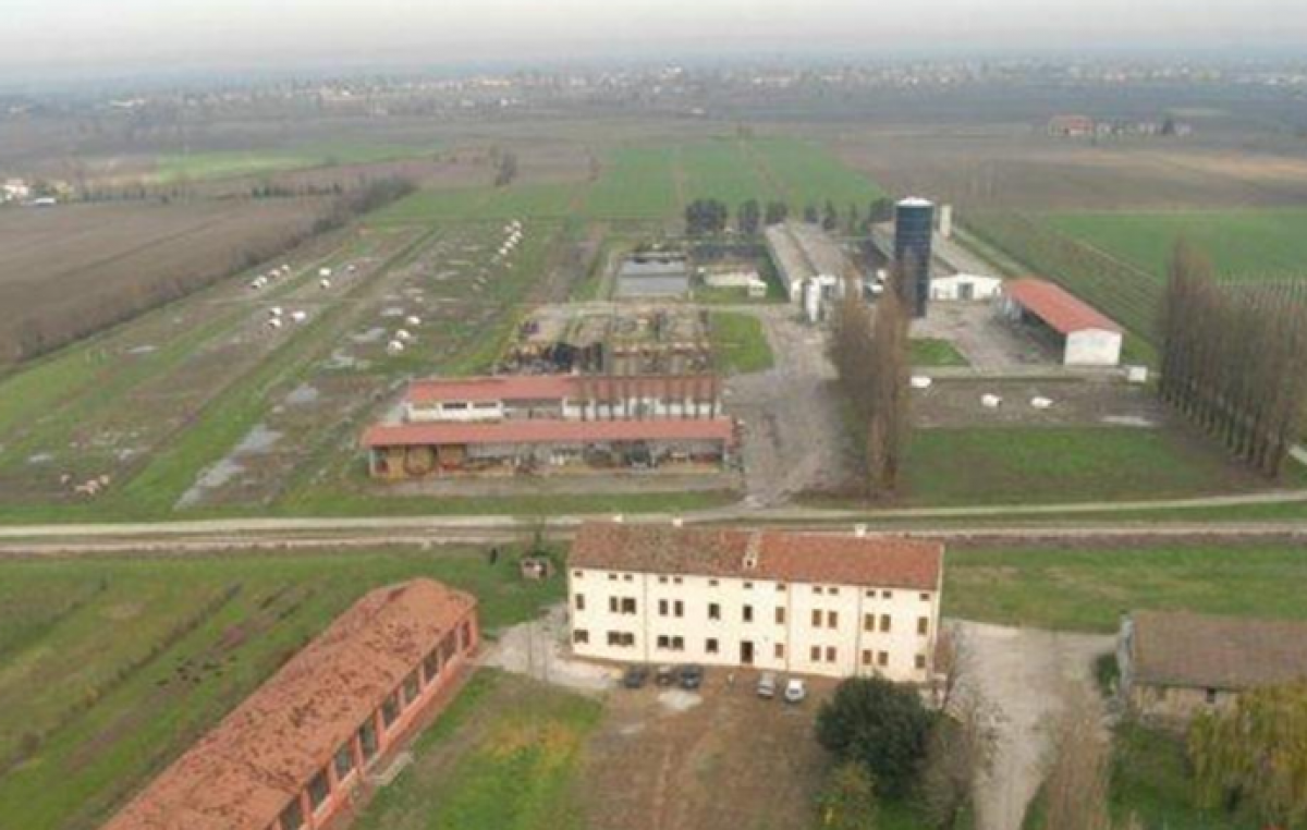 OPEN DAY INNOVAZIONE FRUTTICOLA, CEREGNANO (RO)
