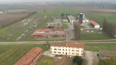 OPEN DAY INNOVAZIONE FRUTTICOLA, CEREGNANO (RO)