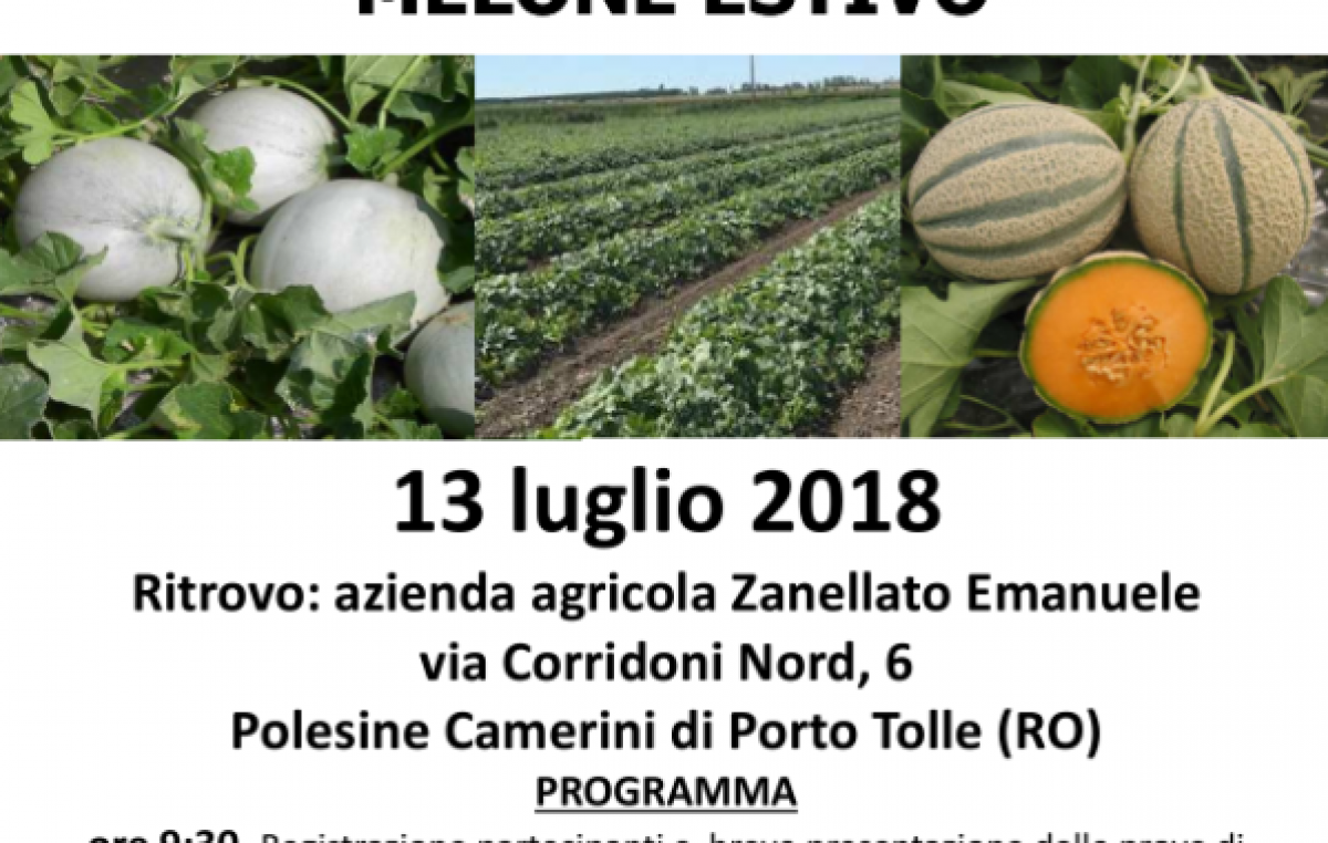 VISITA GUIDATA ALLE PROVE VARIETALI DI PORTINNESTO DI MELONE