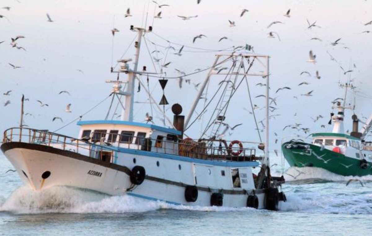 ALTO ADRIATICO, GORO E PORTO GARIBALDI: NUMERI IN CALO, MARINERIE IN RISTRUTTURAZIONE